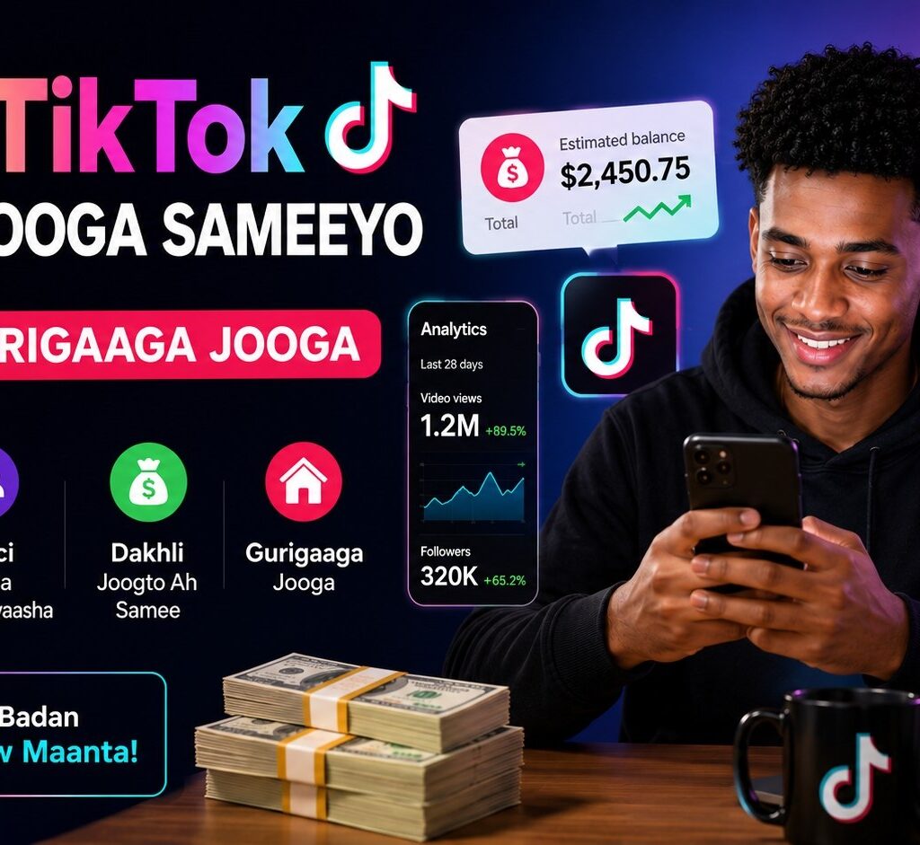 Tiktok creator program