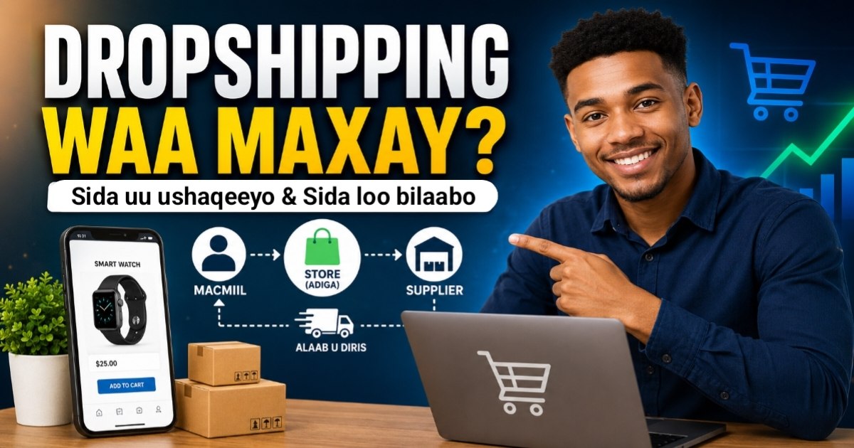 Dropshipping Waa Maxay? Sida Loo Bilaabo Dropshipping
